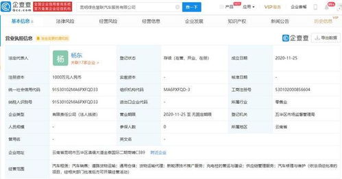 吉利新成立8家公司，技術推廣服務成核心戰略
