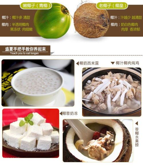海南老椰子批發(fā) 品質(zhì)之選，新鮮直達(dá)