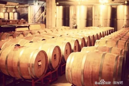 田軍 北大校友手握百億,在小鎮(zhèn)買(mǎi)下170畝地,要建中國(guó)最美的精品酒莊