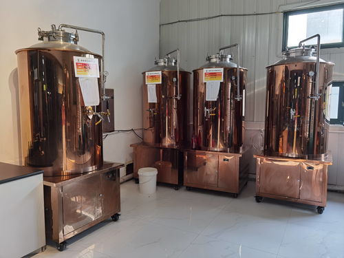 開一個(gè)精釀啤酒屋讓你清涼一夏